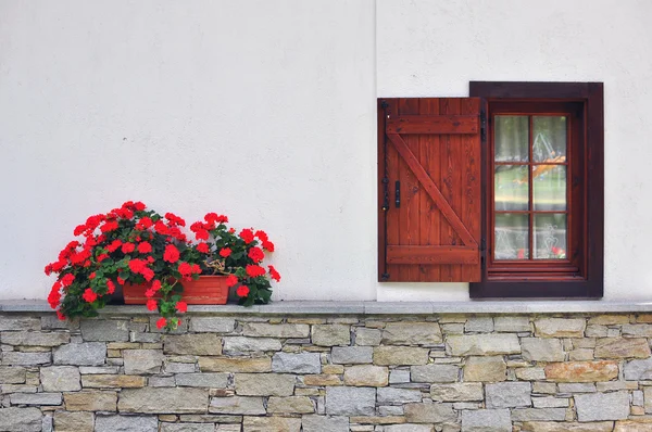 Open window with flowers — Stok fotoğraf