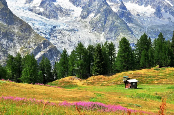 Vale aosta no verão — Fotografia de Stock