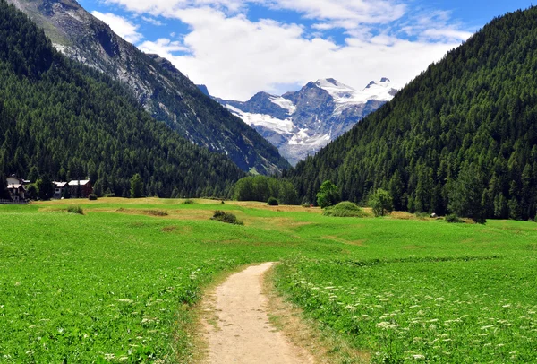 Parque Nacional de Gran Paradiso —  Fotos de Stock