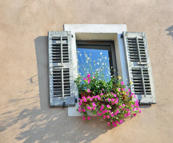 Venster met bloemen — Stockfoto