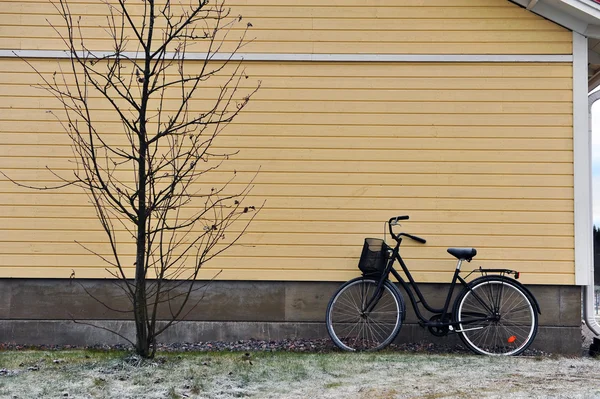 Fiets en boom — Stockfoto