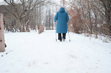 Kuzeyli yürüyüşü sırasında parkta sopalarla bir kadının bacaklarının yakın çekimi. Sağlıklı yaşam tarzı kavramı