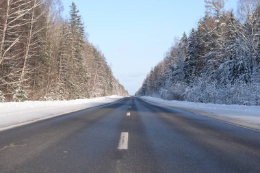Kış yolu uzun ağaçlar arasındaki mesafeye uzanıyor.