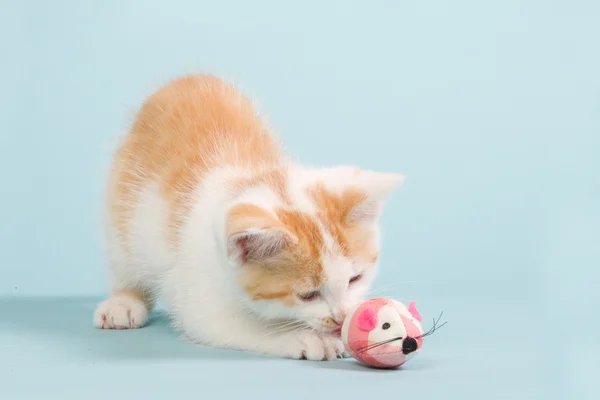 Рыжий котенок играет с розовой игрушечной мышью — стоковое фото