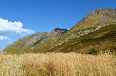 Kafkasların dağlarında sonbahar çayırları