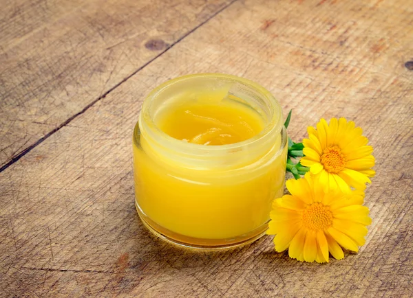 Calendula krem — Stok fotoğraf