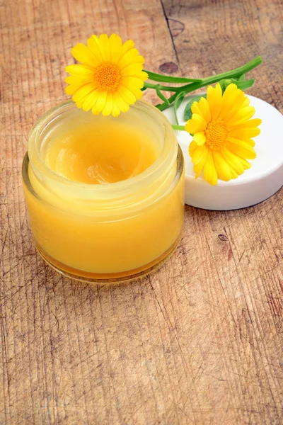 Calendula cream — Stock Photo, Image