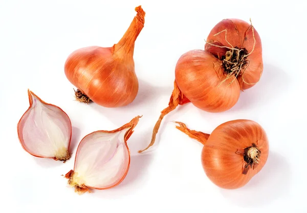 Shallots — Stock Photo, Image