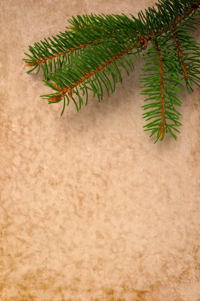 Vinter bakgrund — Stockfoto