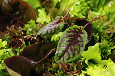 salata