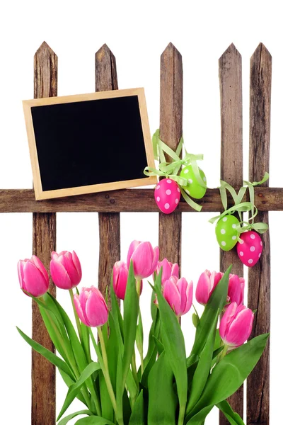 Garden fence — Stock Photo, Image