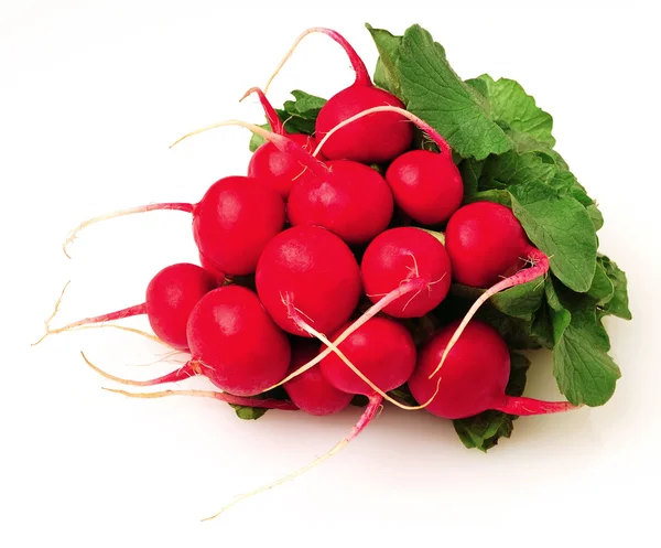 Radish — Stock Photo, Image