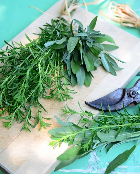 Bohnenkraut und Salbei — Stockfoto