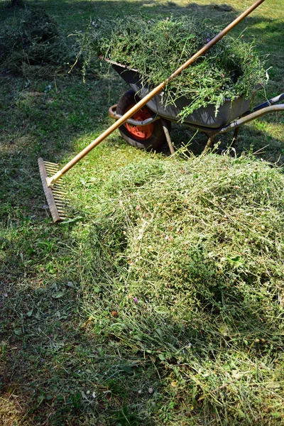 Memotong padang rumput. — Stok Foto