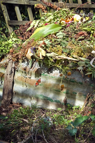 Hromada kompostu s zahradní odpad — Stock fotografie