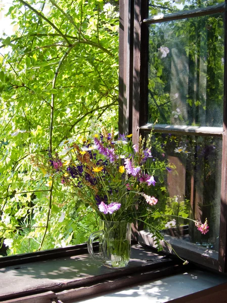 Meadow flowers indoor — Stock Photo, Image