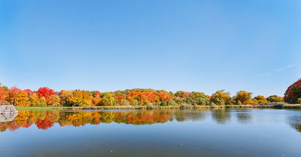 Incrível Vista Convidativa Pequeno Lago Com Bela Floresta Outono Magnífica — Fotografia de Stock