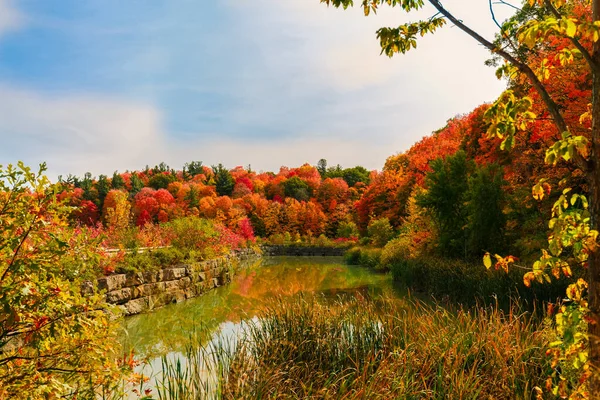 Impressionante Lindo Outono Vista Paisagem Temporada Com Árvores Coloridas Vibrantes — Fotografia de Stock