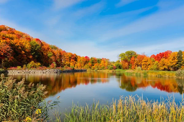 Gorgeous Magnificent View Little Lake Beautiful Vibrant Colorful Autumn Forest — Stock Photo, Image