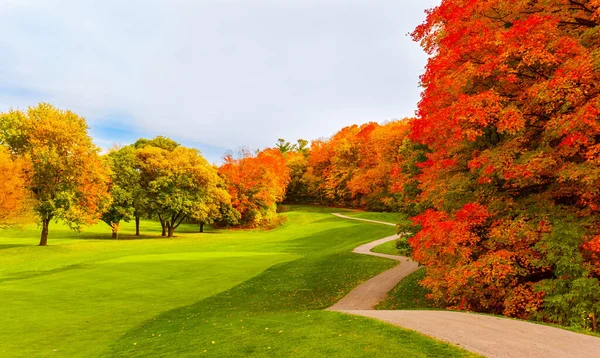 Convidando Vista Magnífica Temporada Outono Paisagem Florestal Lindo Dia Quente — Fotografia de Stock