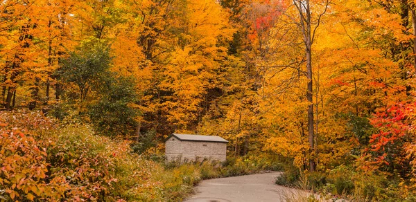 Krásný Výhled Útulné Podzimní Období Lesní Krajiny Malým Úložištěm Kůlna — Stock fotografie