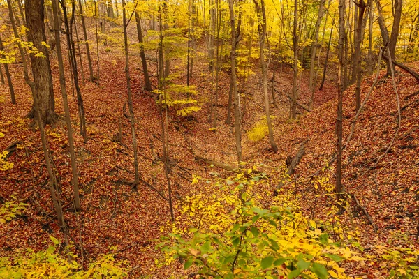 가을에는 풍경을 배경으로 계절의 — 스톡 사진