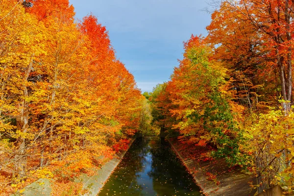 Outono Temporada Lindo Paisagem Paisagem Fundo Com Árvores Coloridas Vibrantes — Fotografia de Stock