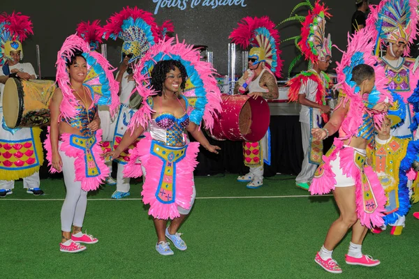 Toronto Ontario Kanada Ağustos 2015 Çeşitlilik Dansı Müzik Festivali Bir — Stok fotoğraf