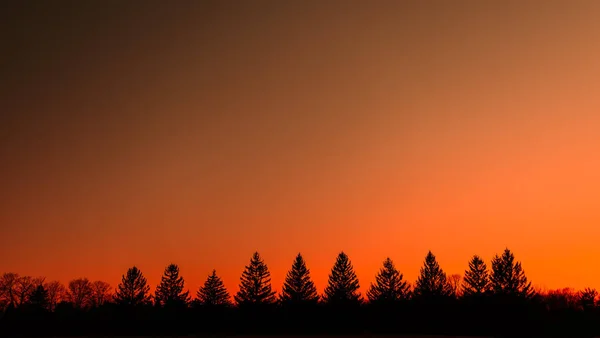 Schöne Gemütliche Schöne Blaue Stunde Hintergrund Landschaft — Stockfoto