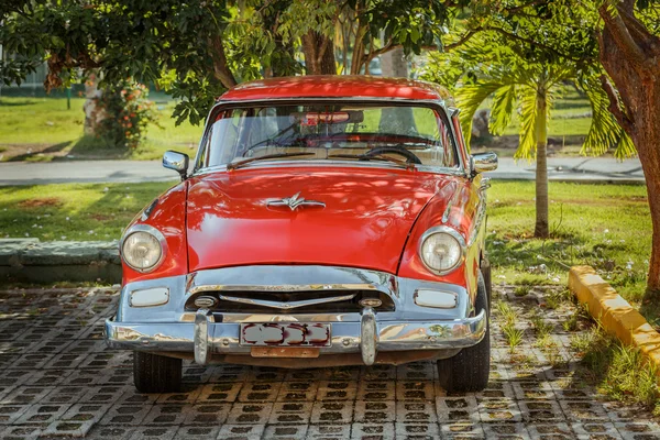 Coche clásico retro vintage estacionado en jardín tropical — Foto de Stock