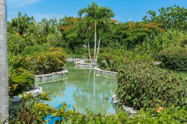 Kilátás haza trópusi kert folyó különböző növények — Stock Fotó
