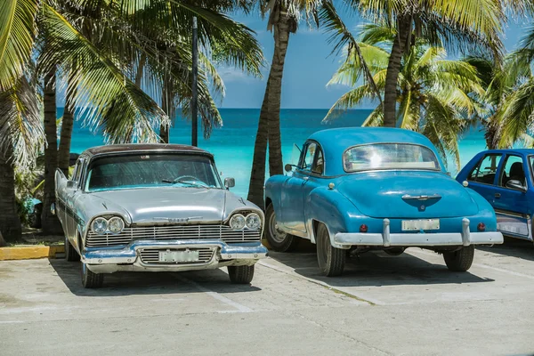 Klassieke, vintage auto's geparkeerd tegen tropische achtergrond op warme zonnige dag — Stockfoto