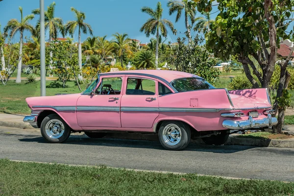muhteşem tropik bahçe karşı yolda pembe klasik vintage retro araba park