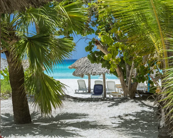 Schitterende uitnodigende Oceaan en strand uitzicht vanaf gezellige pluizig palm bomen tuin — Stockfoto