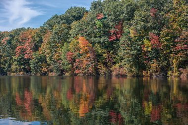 sonbahar Forest sakin göl su ile mavi gökyüzü parçasını yansıması doğal görünümü