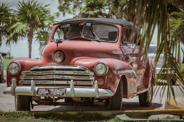 Klassisk retro, vintage bil i kubanska tropisk trädgård — Stockfoto