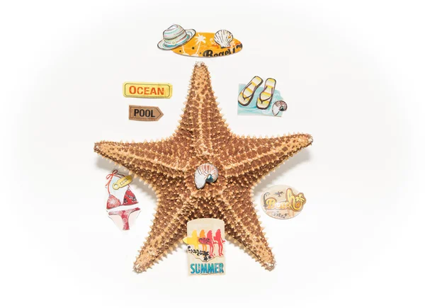 Stella marina circondata da vari segni di vacanza, tag e messaggi isolati su sfondo grigio bianco — Foto Stock