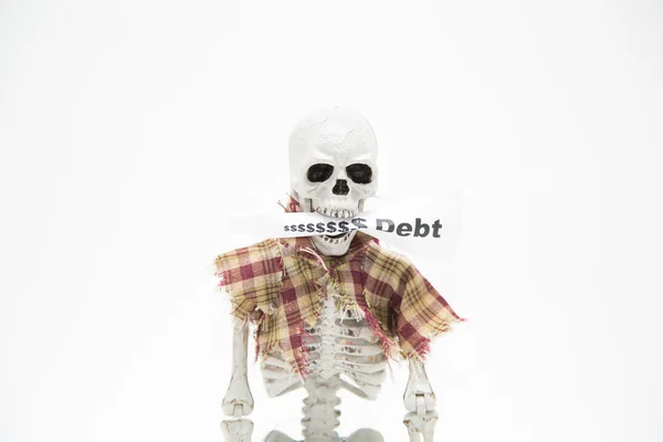 Human skeleton  with message tag in his jaws on light grey background — Stock Photo, Image