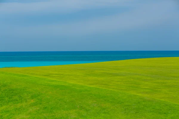 Prachtige verse groene grasveld tegen rustige Oceaan en blauwe hemelachtergrond — Stockfoto