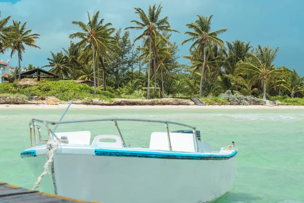 Inviting gorgeous view of palm trees beach and ocean — Stock Photo, Image