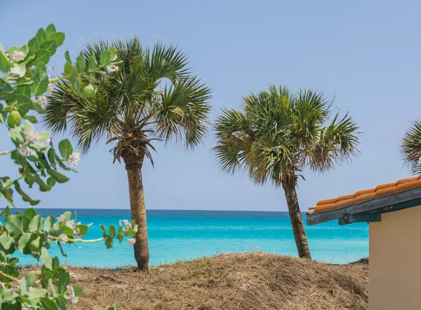 Gorgeous inviting view of beautiful tropical nature, ocean and sky — Stock Photo, Image