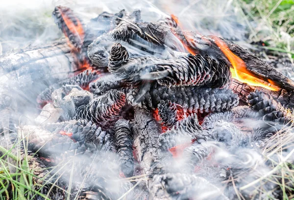 Visa bränna kottar med rök och eld bakgrund — Stockfoto