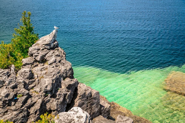 Cliff with seagull on top, above beautiful tranquil azure water of Cyprus lake at Bruce Peninsula, Ontario — ストック写真