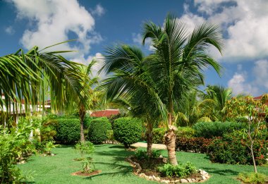 stunning, gorgeous amazing view of tropical garden on sunny summer day
