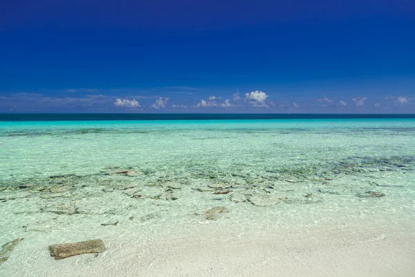 Bella splendida bella vista invitante di turchese tranquilla linea orizzonte oceano con scuro profondo blu bellissimo cielo sfondo — Foto Stock