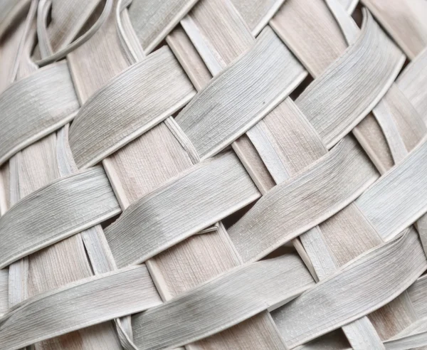 Grande incrível closeup vista de idade seco tecido padrão palma folhas — Fotografia de Stock