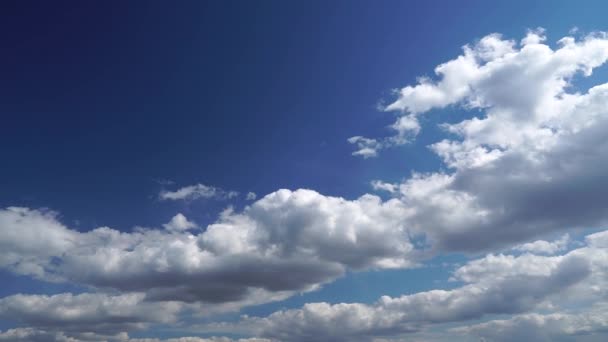 Лише літнє блакитне небо. Прекрасна панорама блакитного неба з білими хмарами. Розслабляючий вид на хмари, що рухаються. Жодних будівель. Full HD Час Лапсе — стокове відео