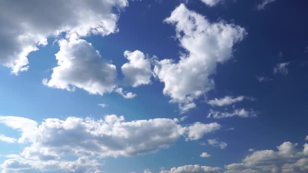 Jen letní modrá obloha. Krásné panorama modré oblohy s bílými mraky. Uvolňující pohled na pohybující se transformující se mraky. Žádné budovy. Full HD Time Lapse — Stock video
