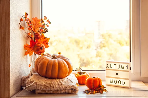 Autumn mood. Cozy autumn still life on the windowsill with lightbox and pumpkin, persimmon, warm wool sweaters, maple leaves.