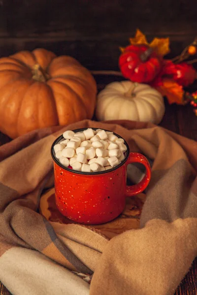 Herfst Decor Een Houten Achtergrond Een Mok Met Cacao Marshmallows — Stockfoto